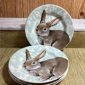 Circa Fine China Charming Rabbit Design Dinner Plates - Brown and Cream 4 8”